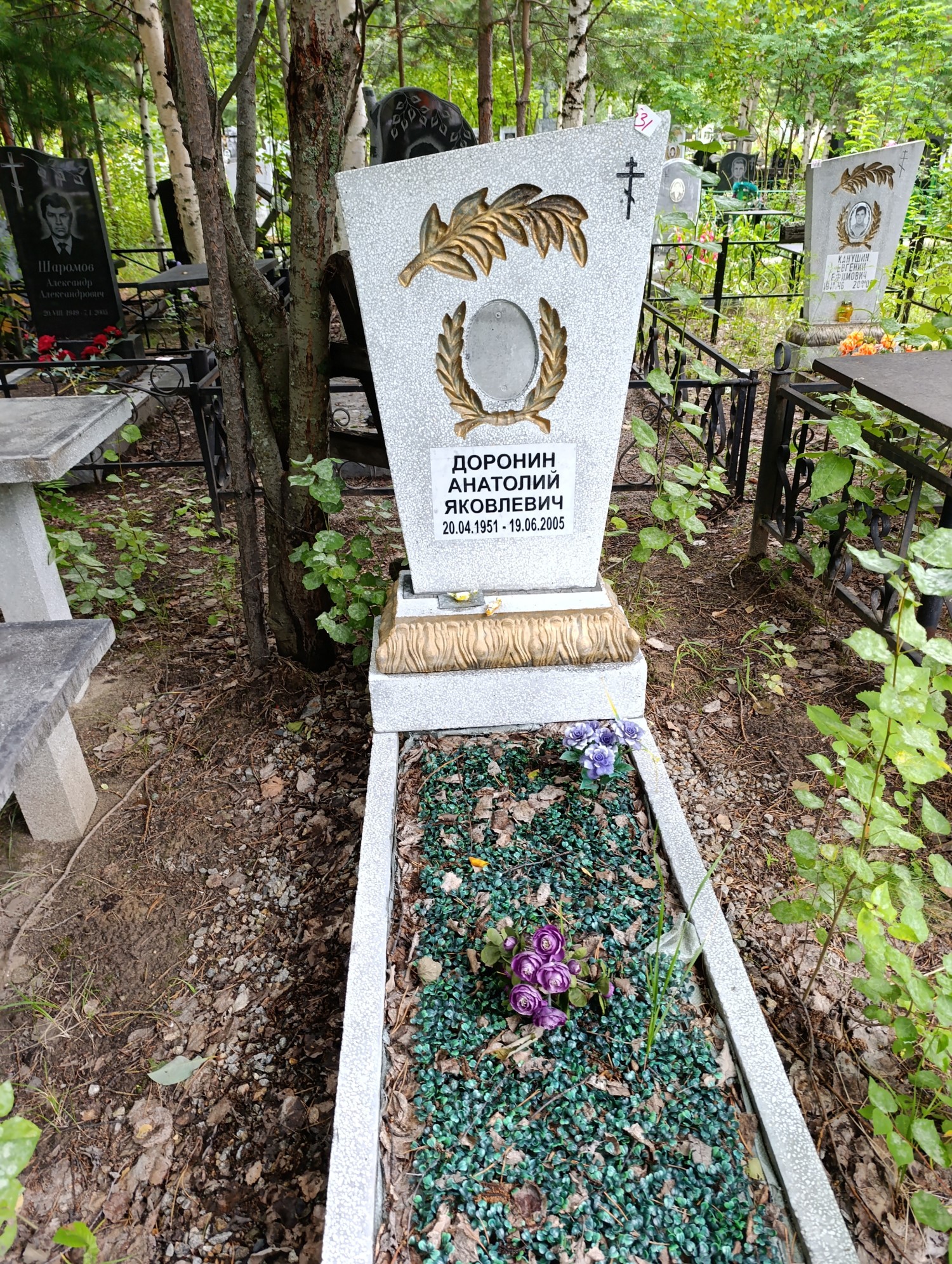 Доронин Анатолий Яковлевич