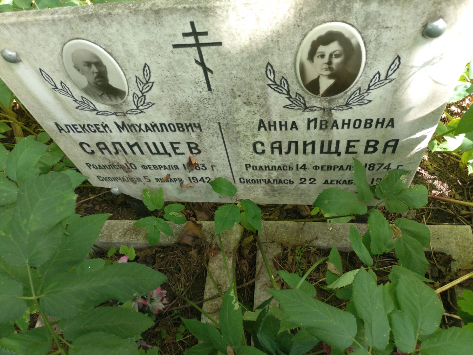 Салищева Анна Ивановна