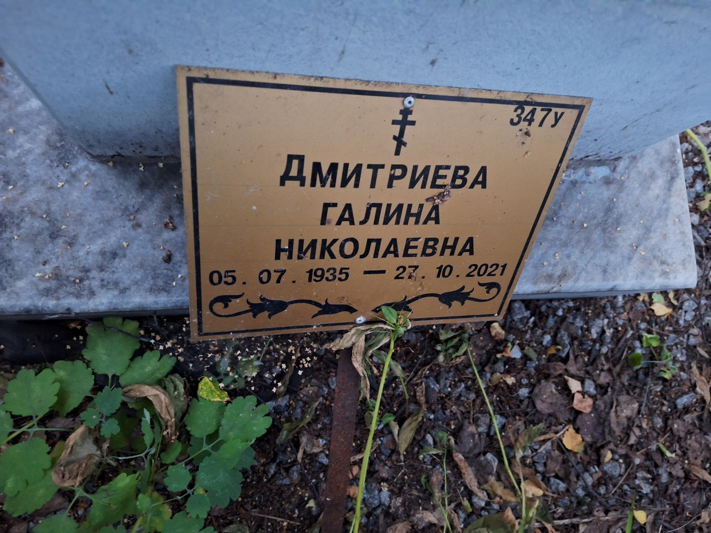 Дмитриева