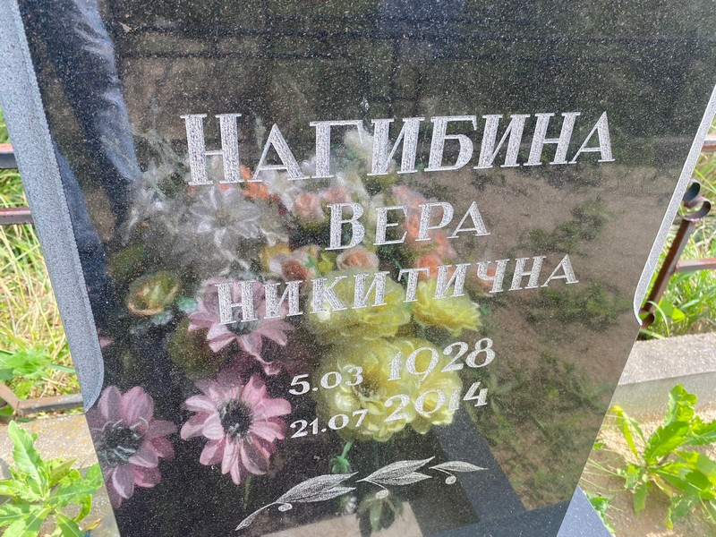 Нагибина