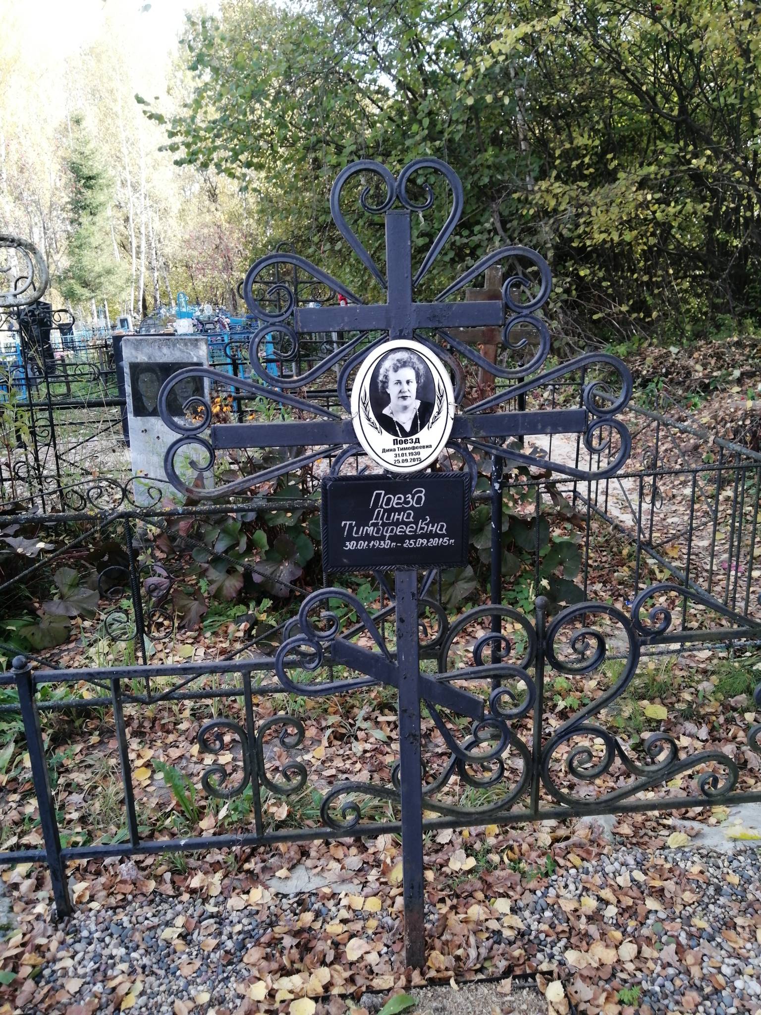 Поезд Дина Тимофеевна