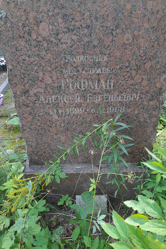 Гофман Алексей Евгеньевич