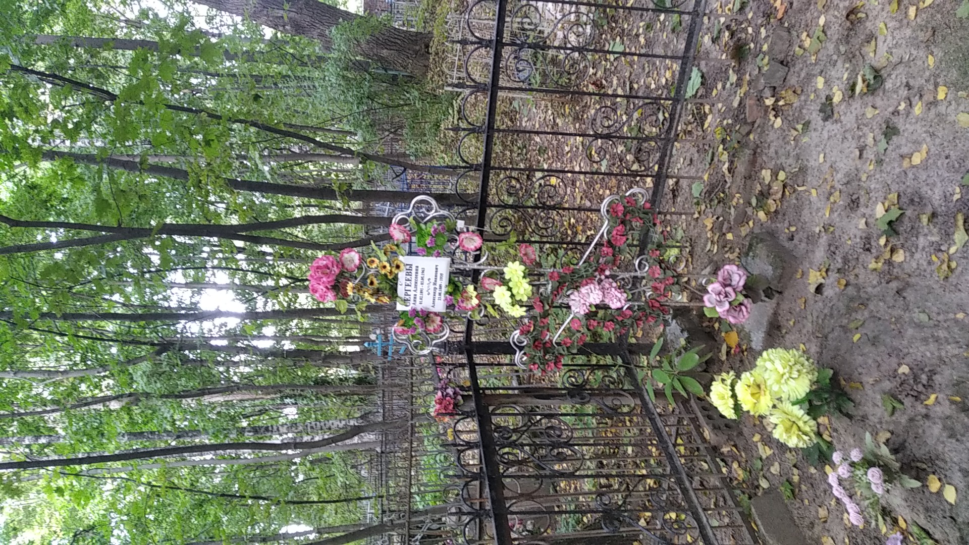 Сергеева Анна Алексеевна