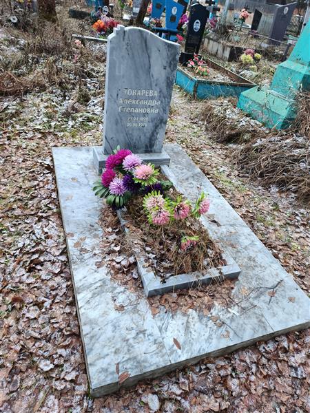 Токарева Александра Степановна
