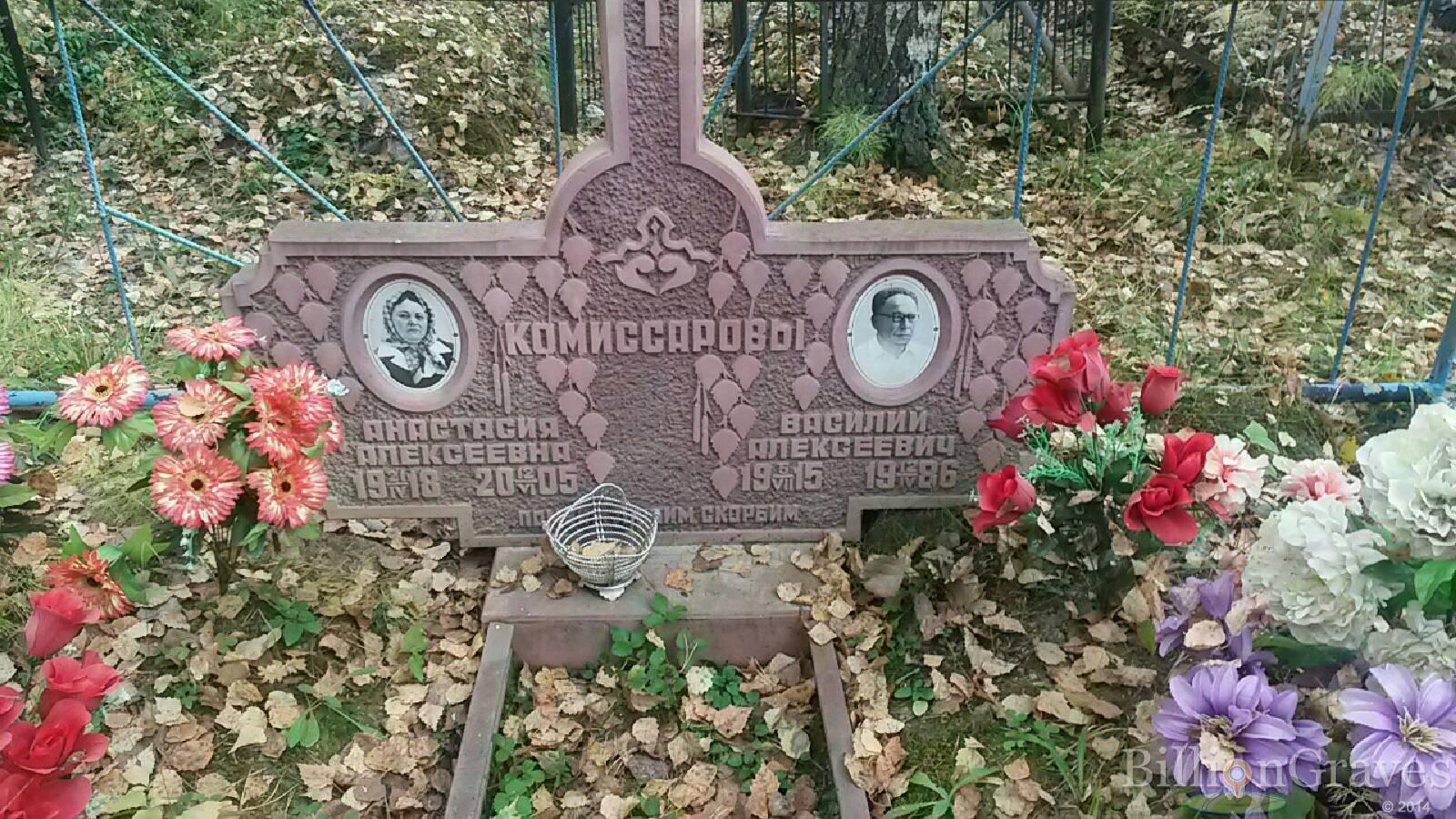 Комиссарова Анастасия Алексеевна