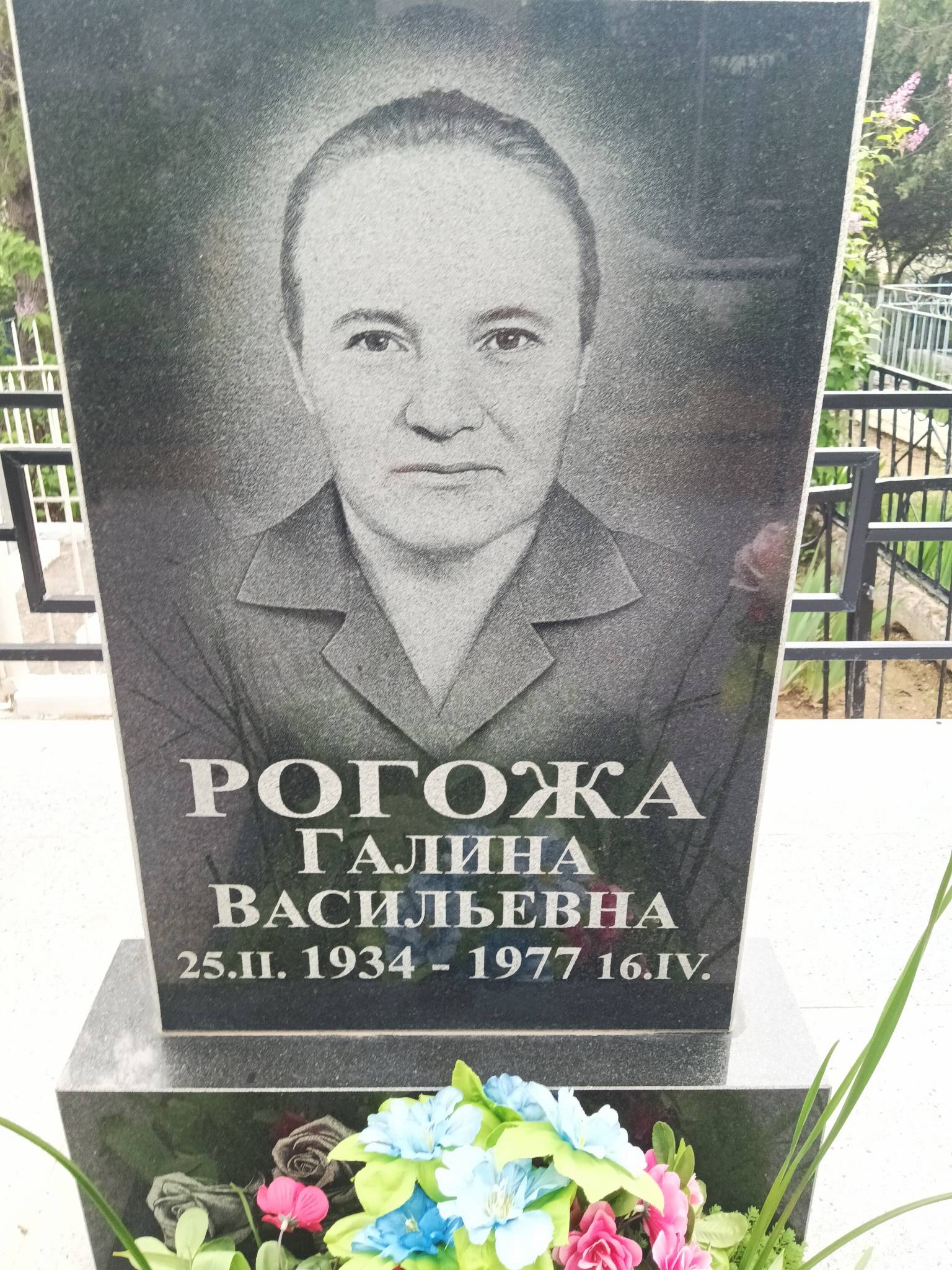 Рогожа Галина Васильевна