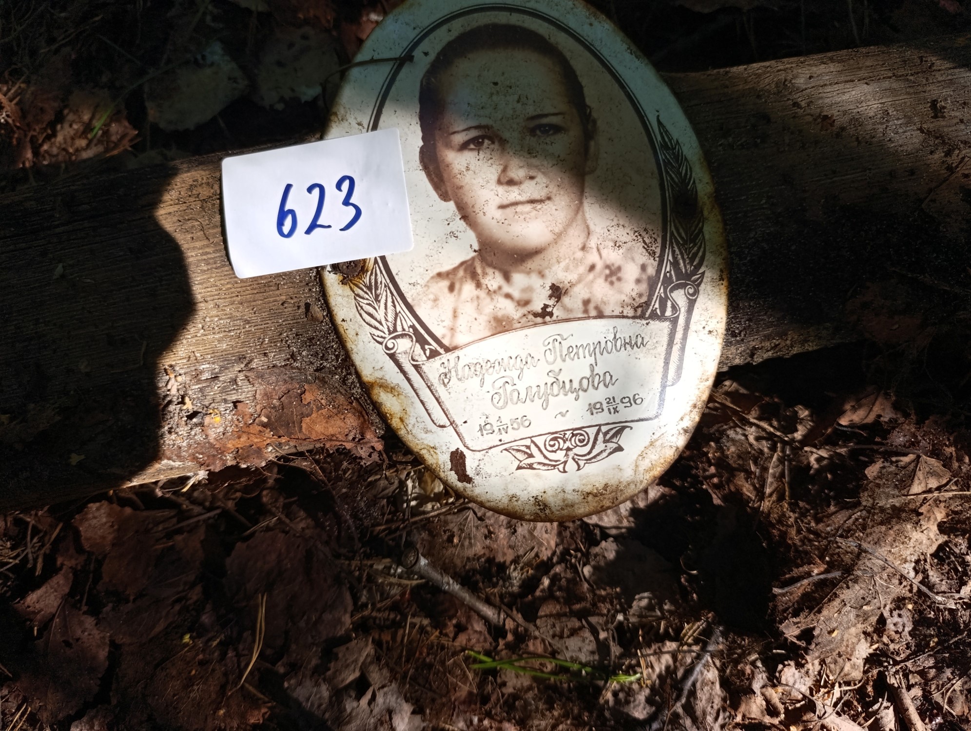 Голубцова Надежда Петровна