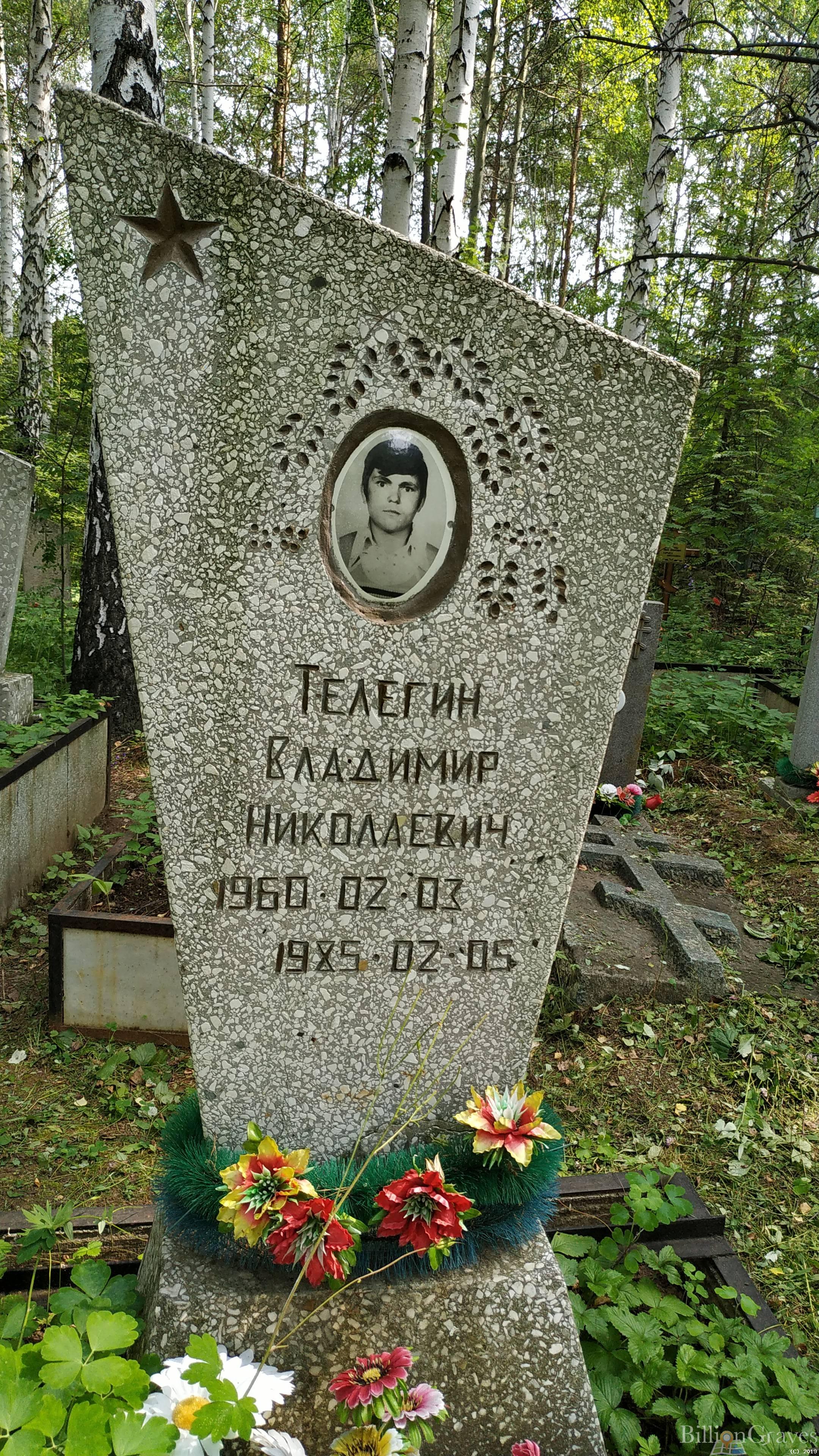 Телегин Владимир Николаевич