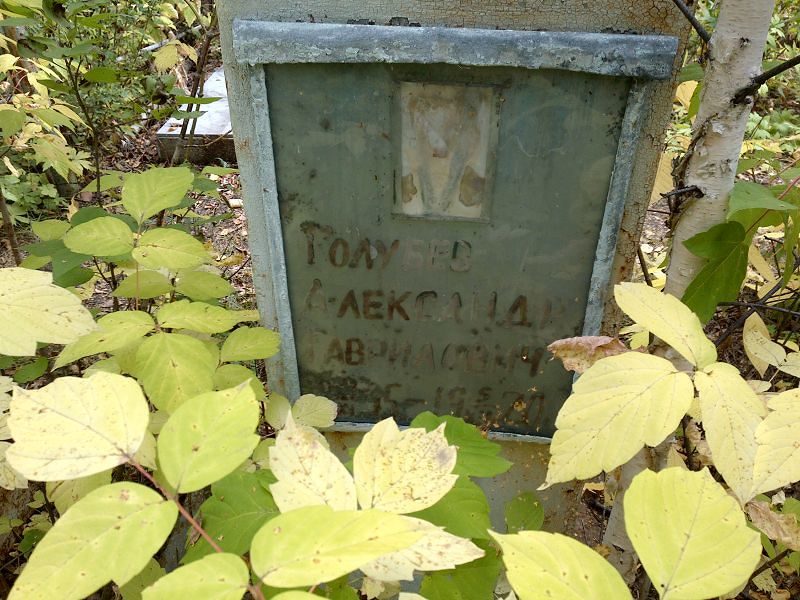 Голубев