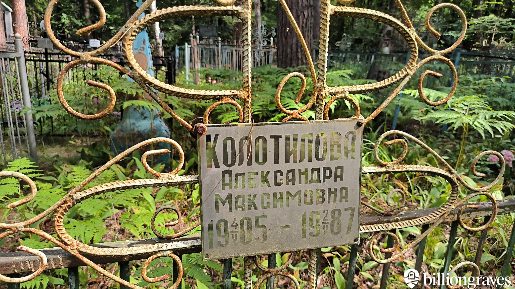 Колотилова Александра Максимовна