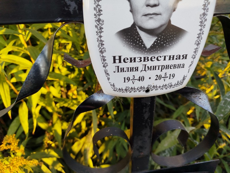 Лилия Неизвестная Дмитриевна