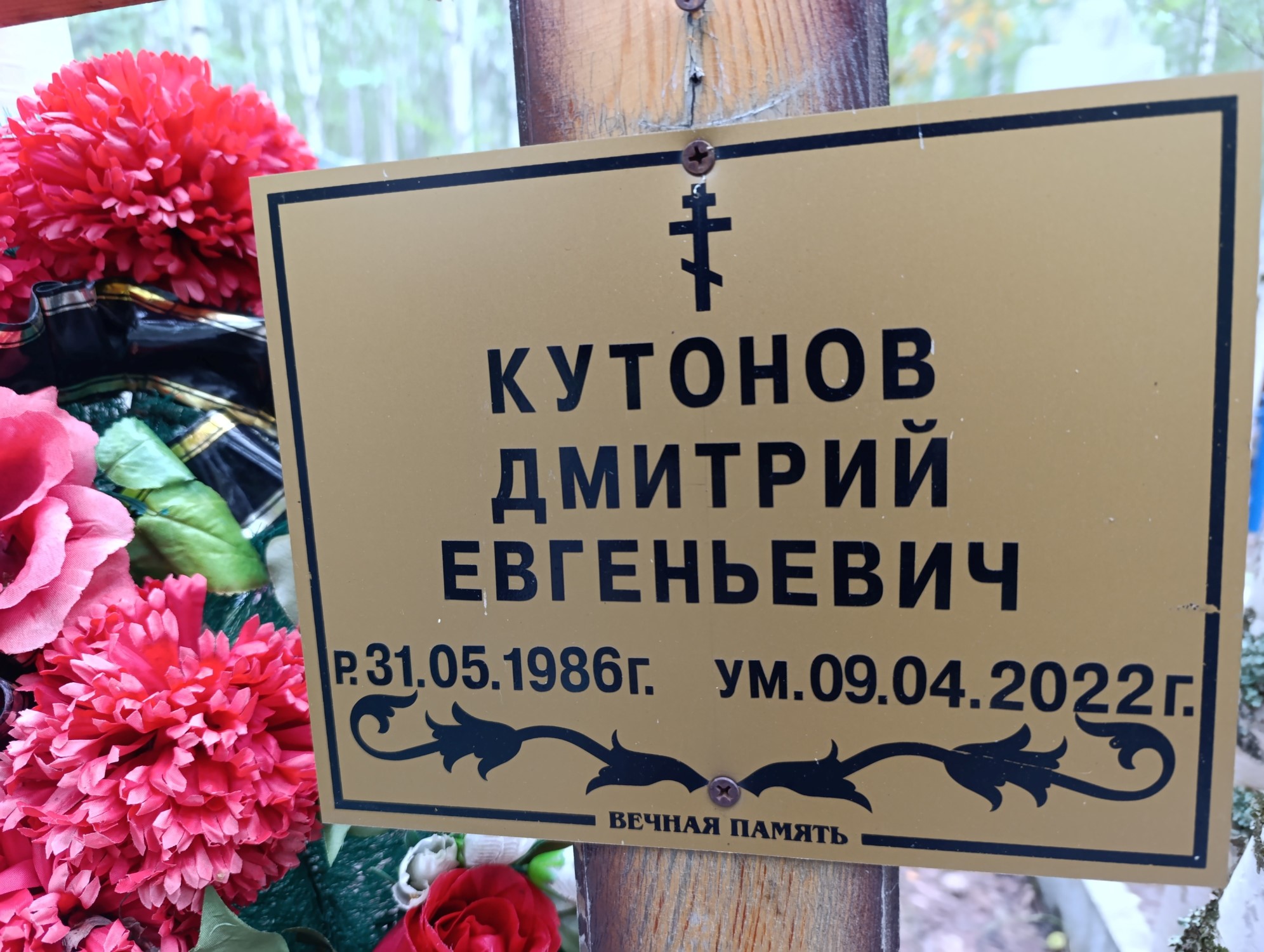 Кутонов Дмитрий Евгеньевич