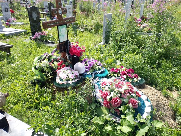 Плотников Николай Алексеевич
