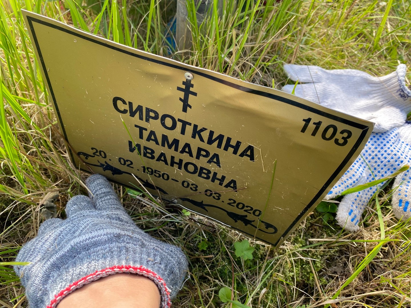 Сироткина
