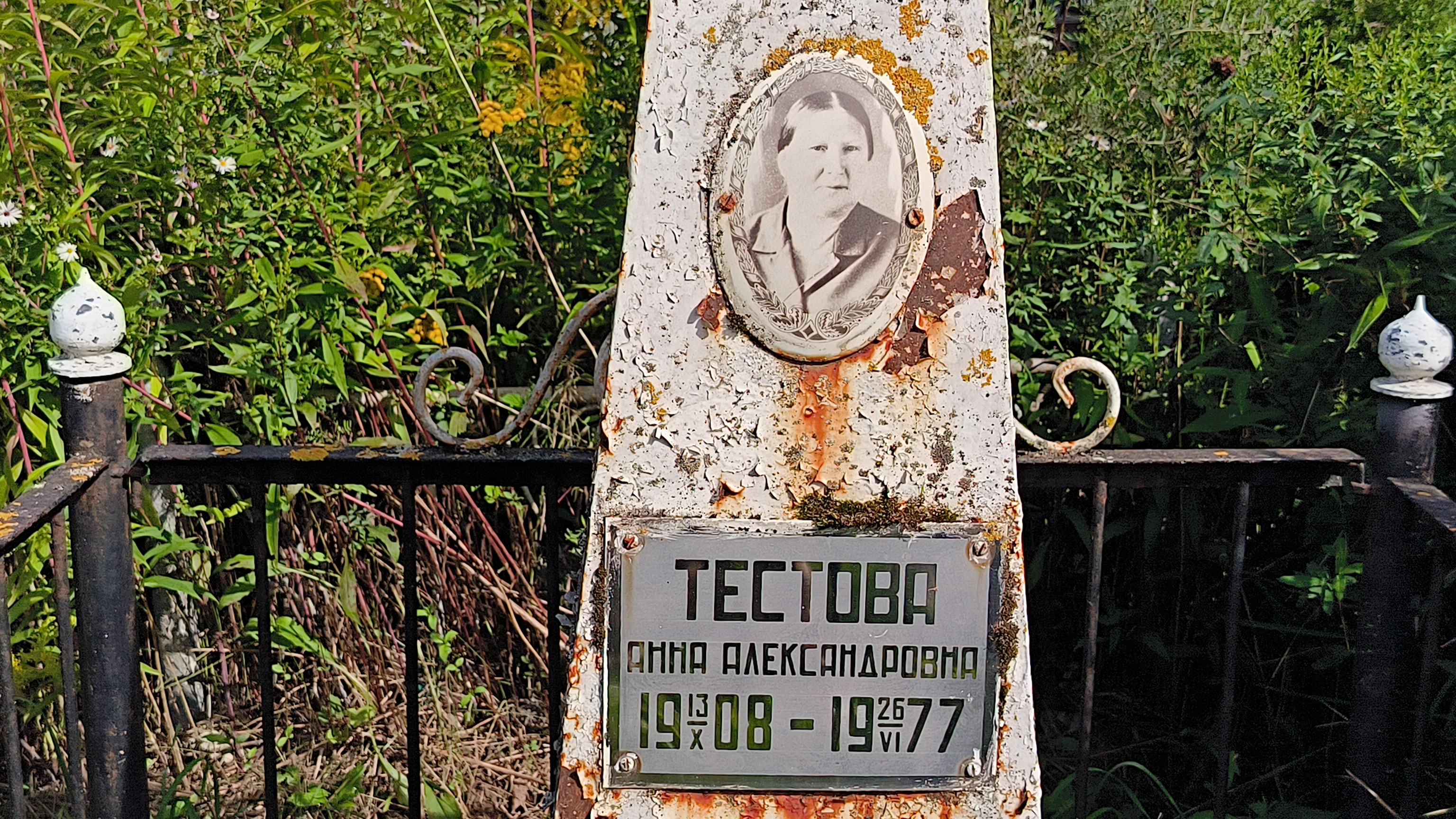 Тестова Анна Александровна