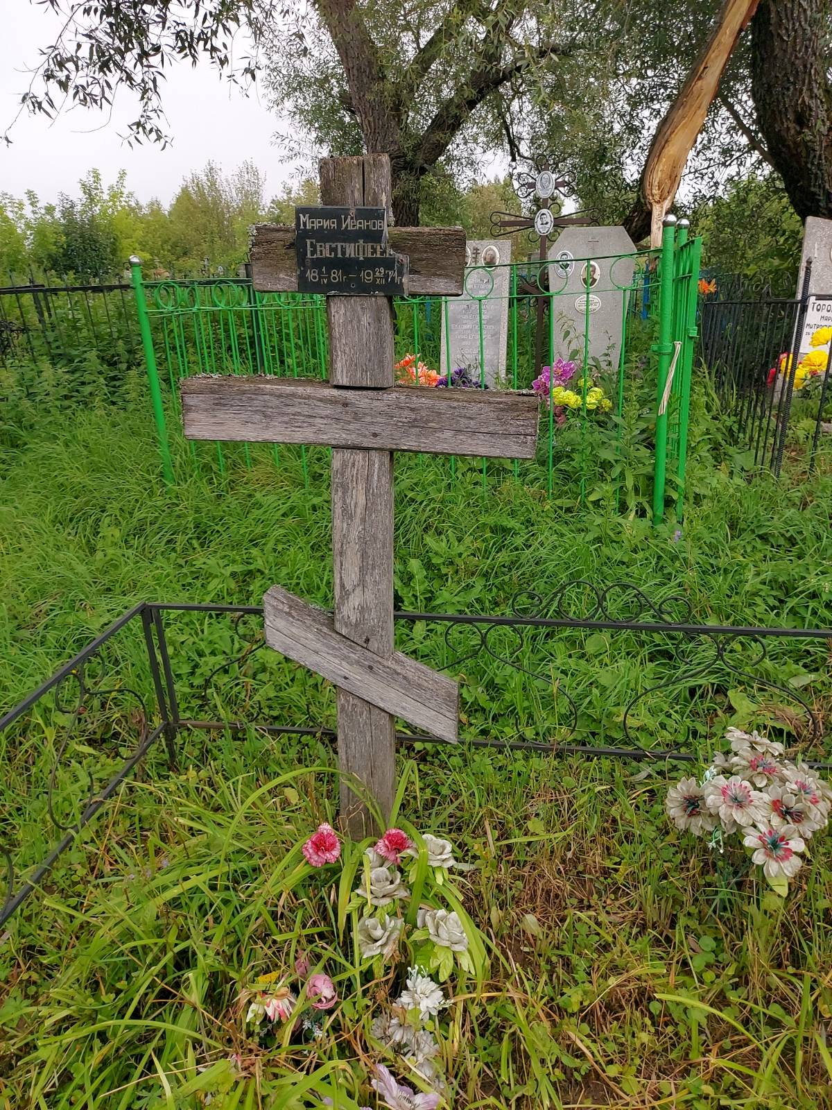 Евстифеева Мария Ивановна