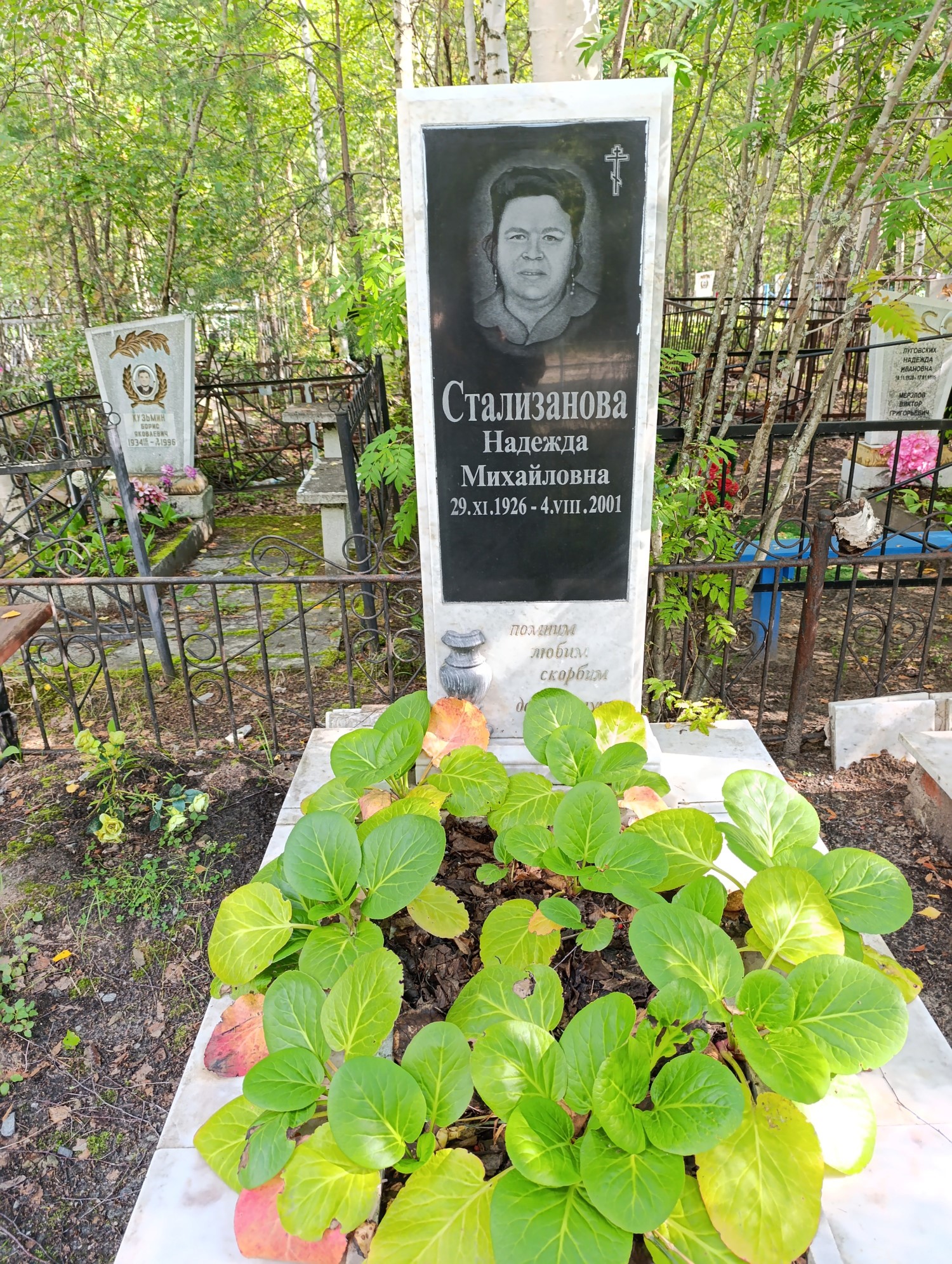 Стализанова Надежда Михайловна