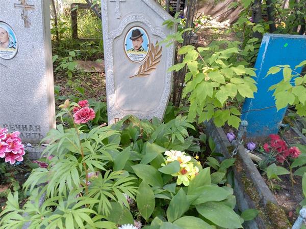 Самотесов Александр Никитович
