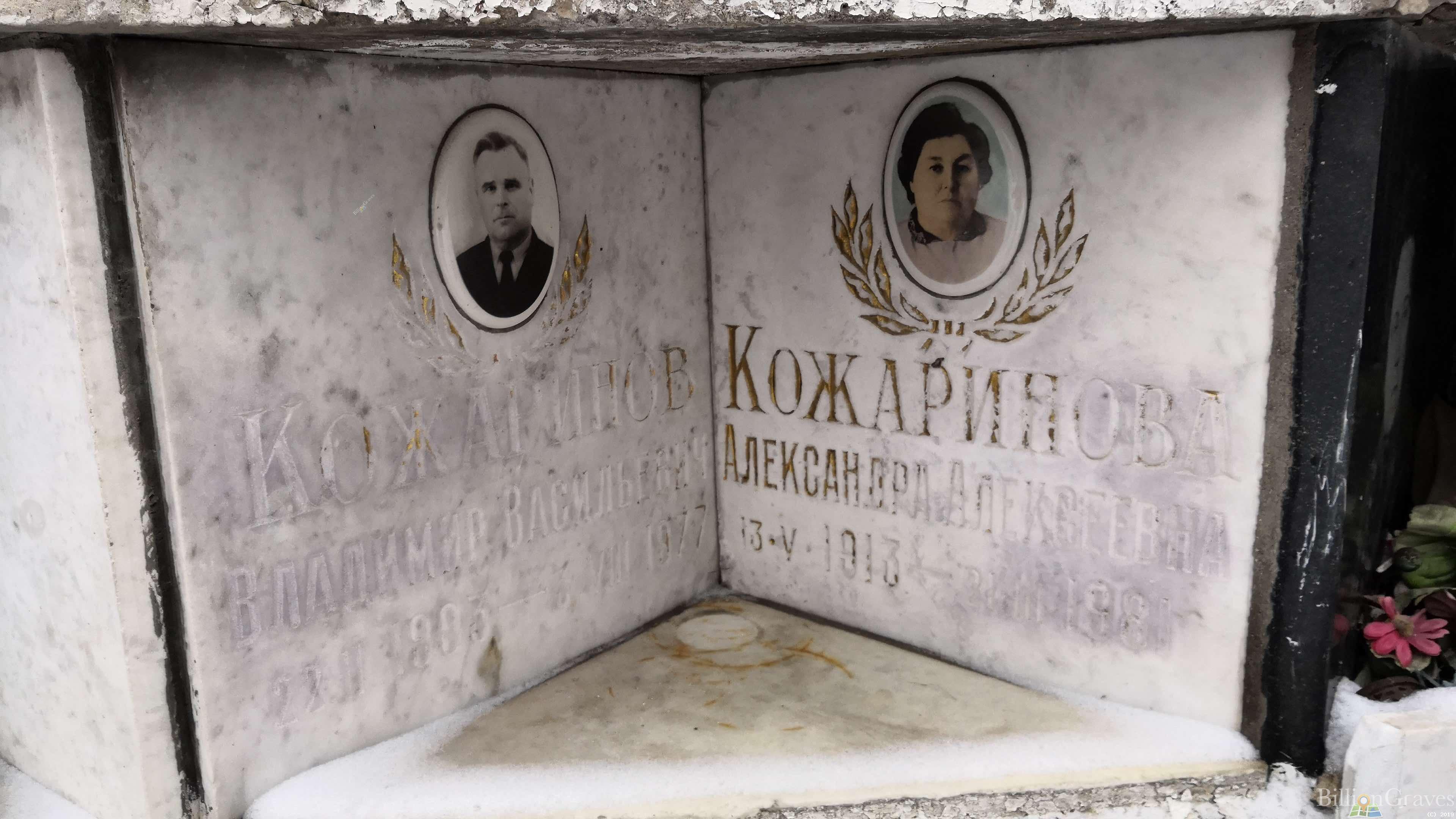 Кожаринова Александра Алексеевна