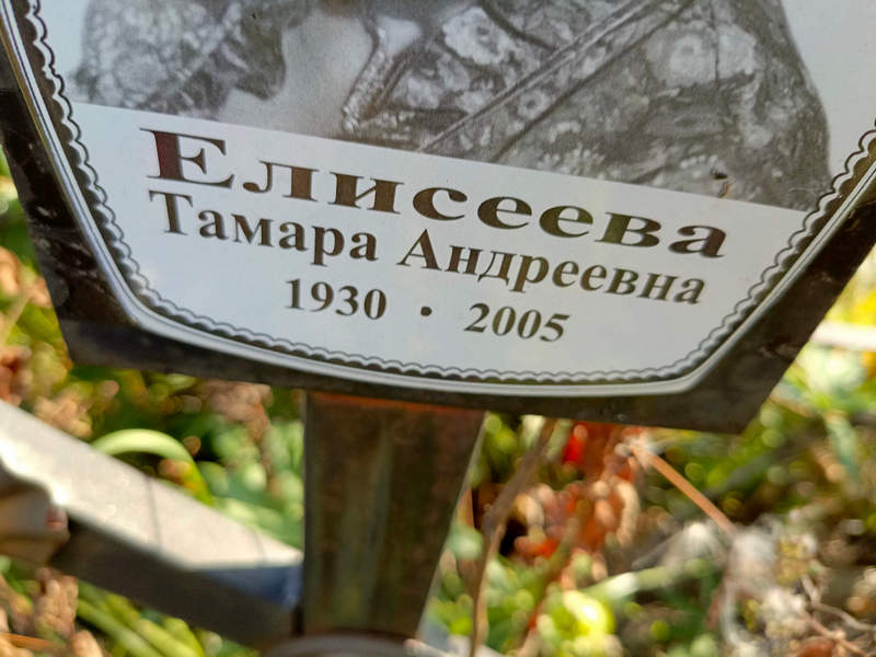 Елисеева