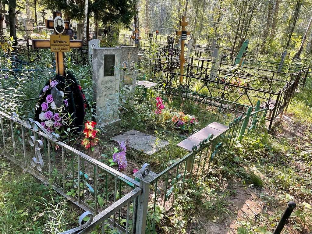 Шарунин Николай Семенович