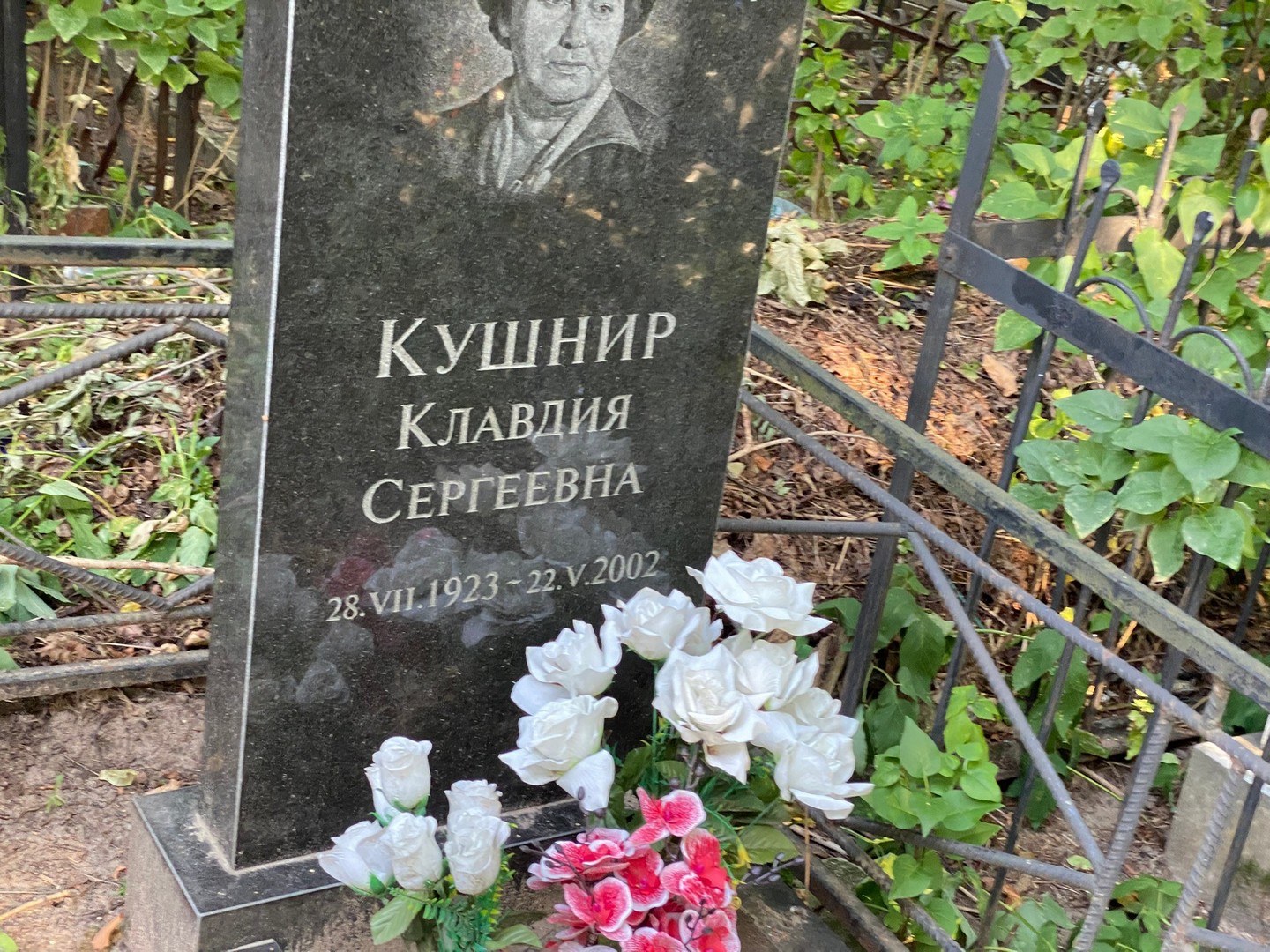 Кушнир