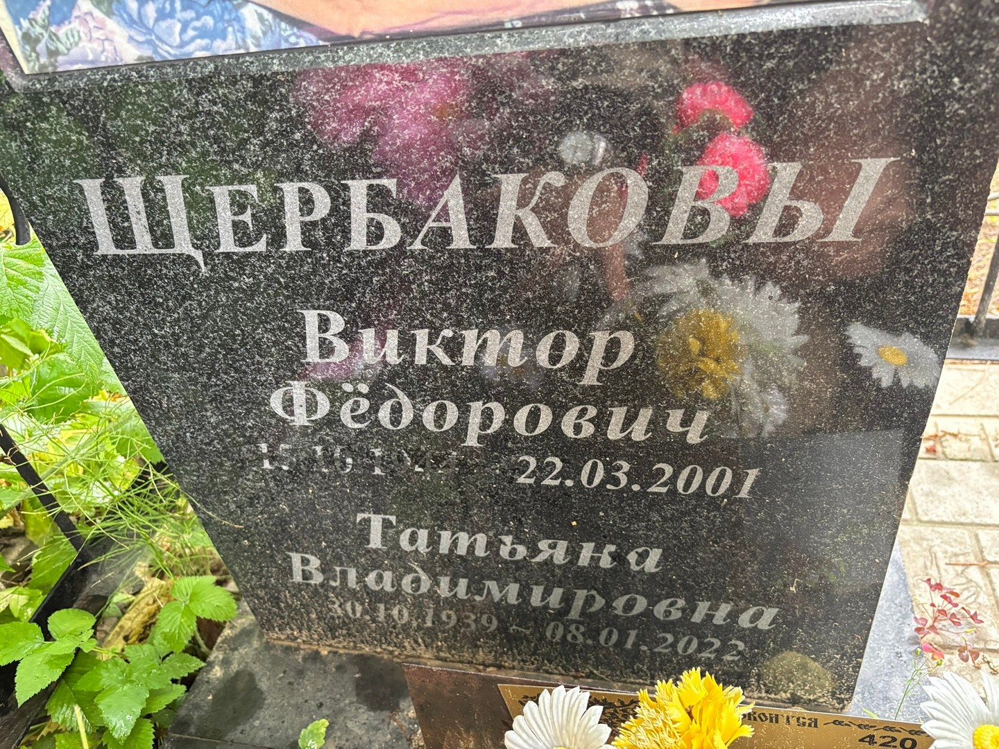 Щербаков