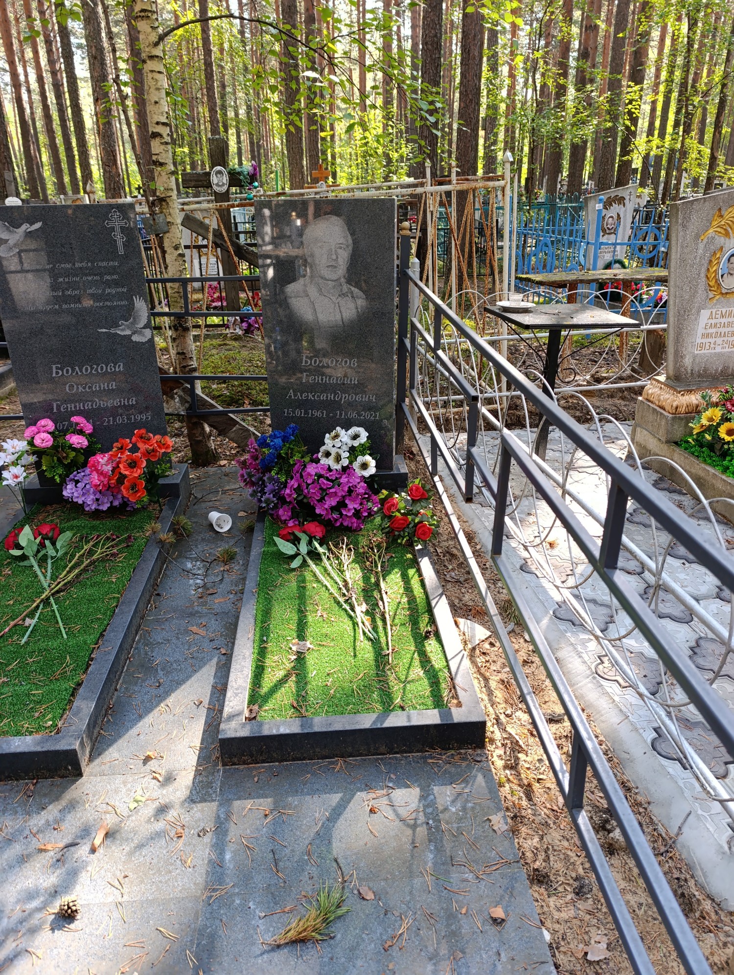 Бологов Геннадий Александрович