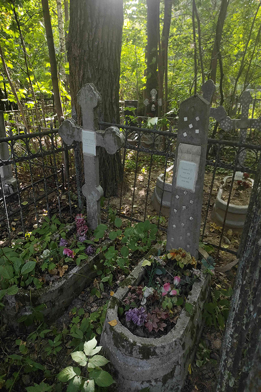 Гольцова О. Д.