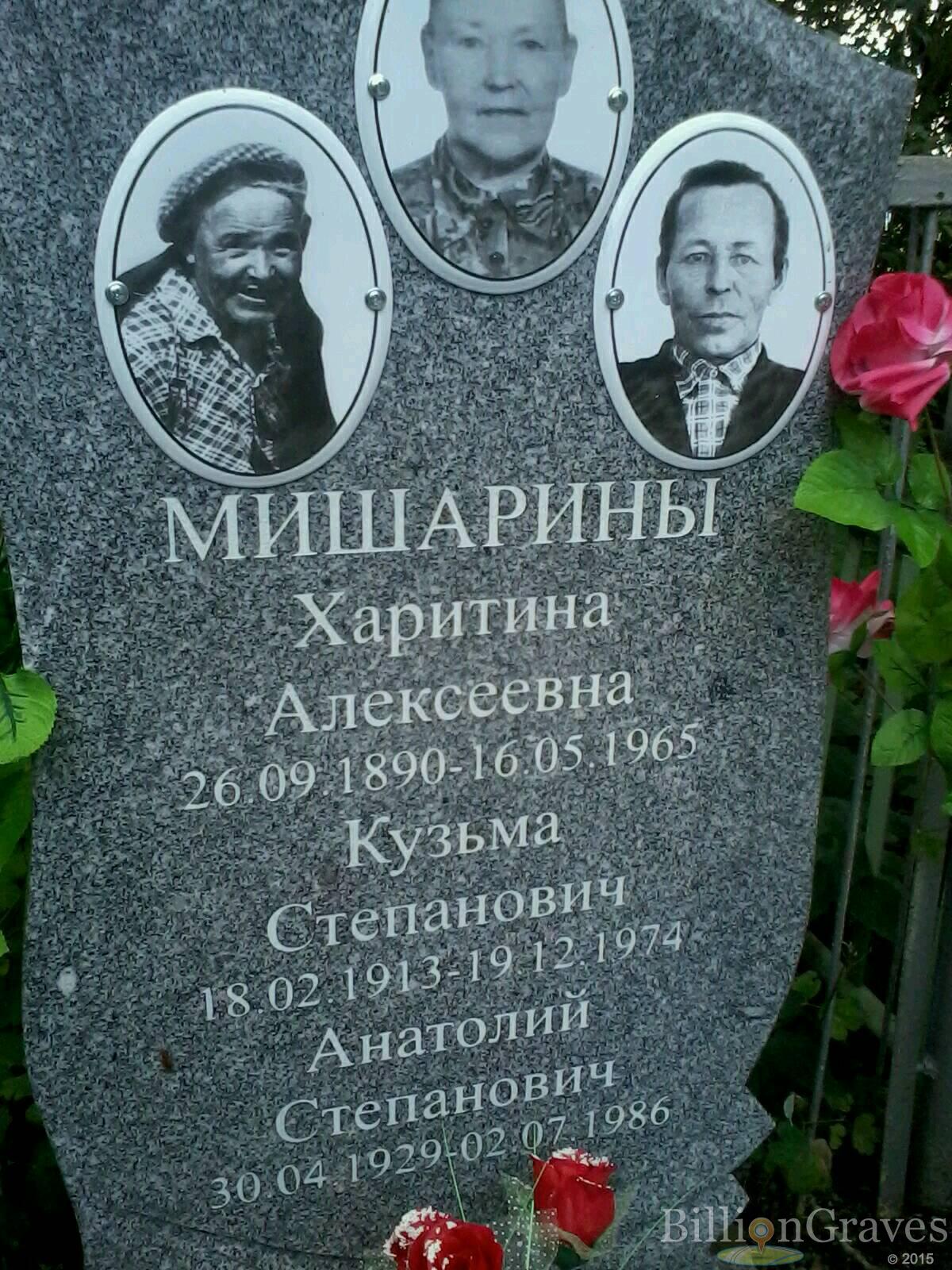 мишарин анатолий степанович