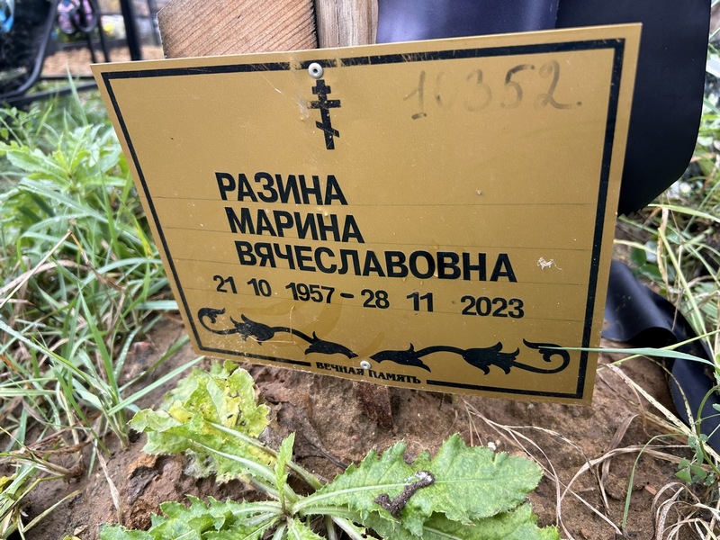 Разина