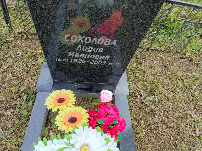 Соколова