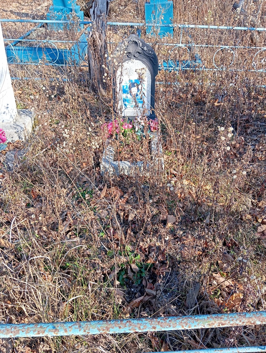 Сафарова Галина Викторовна