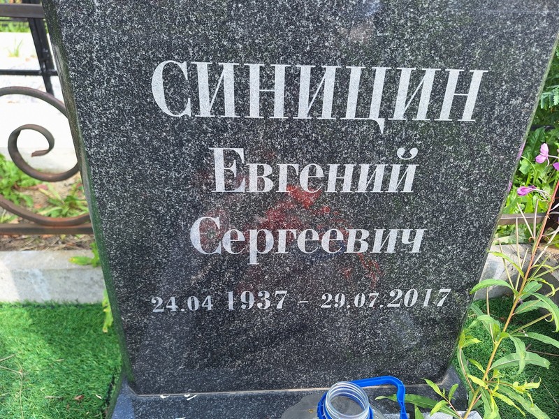 Синицин