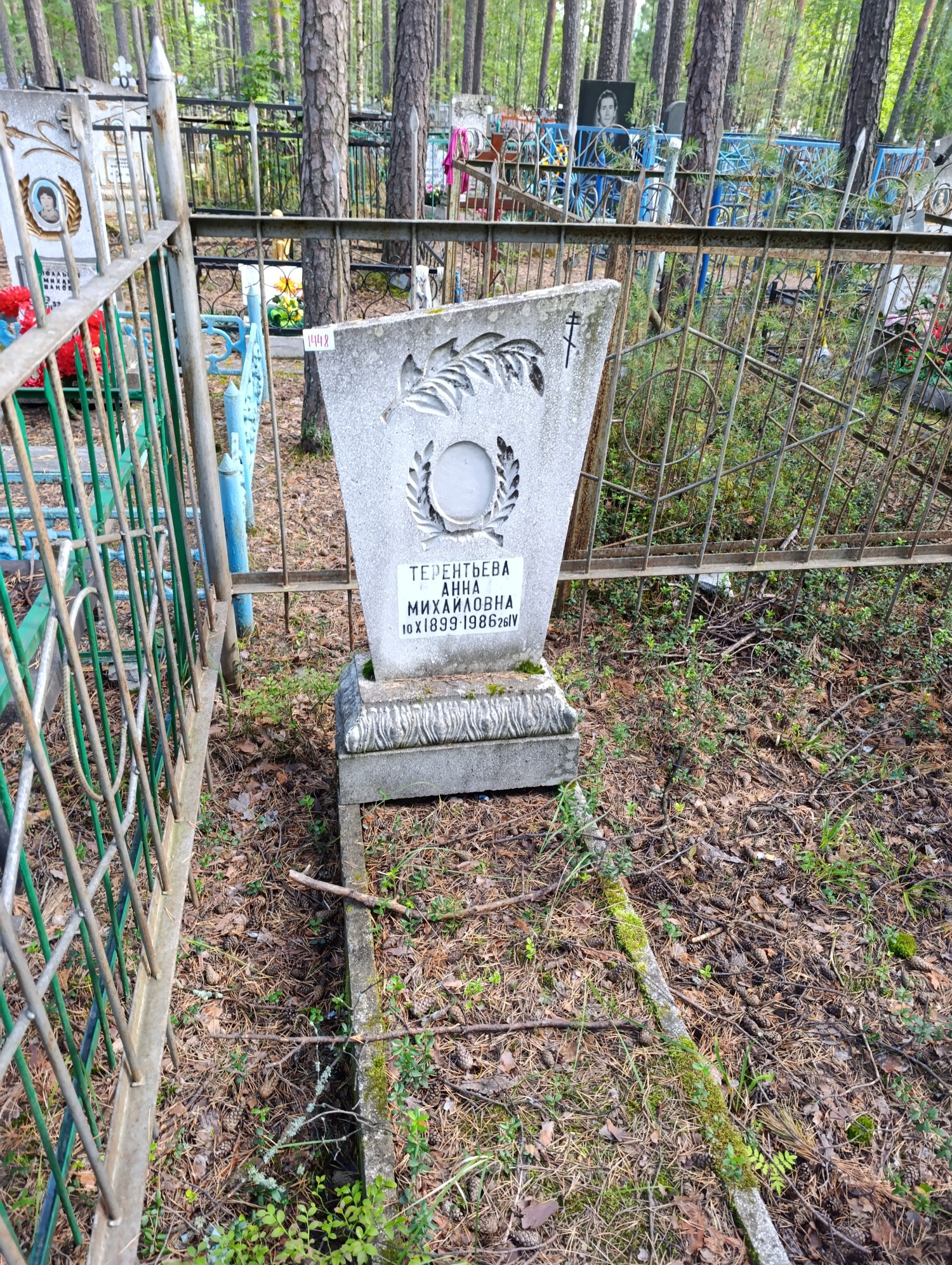 Терентьева Анна Михайловна