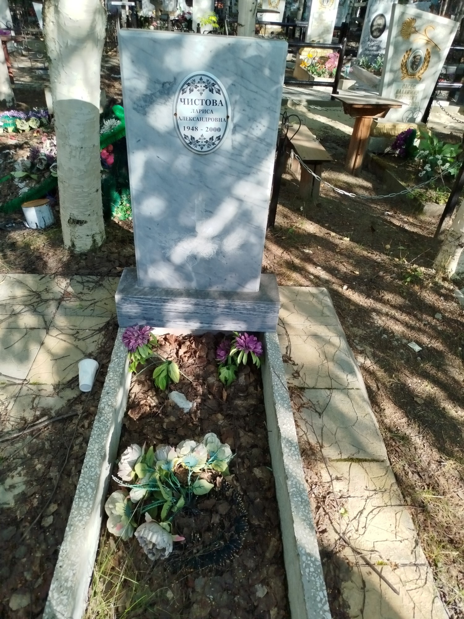 Чистова Лариса Александровна