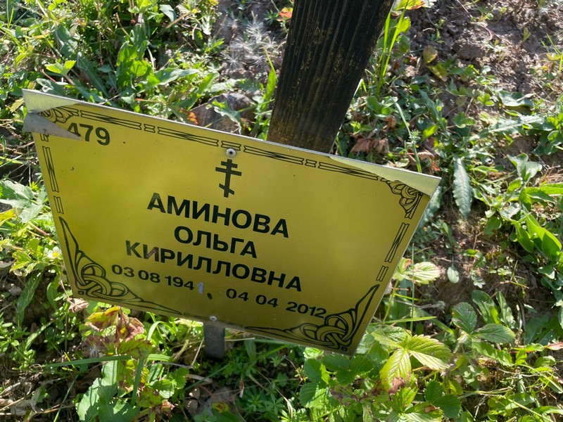 Аминова