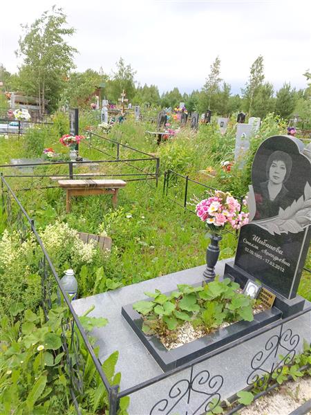 Шибанова Стелла Аркадьевна