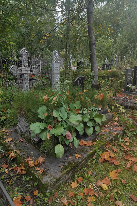 Власов Михаил Власович