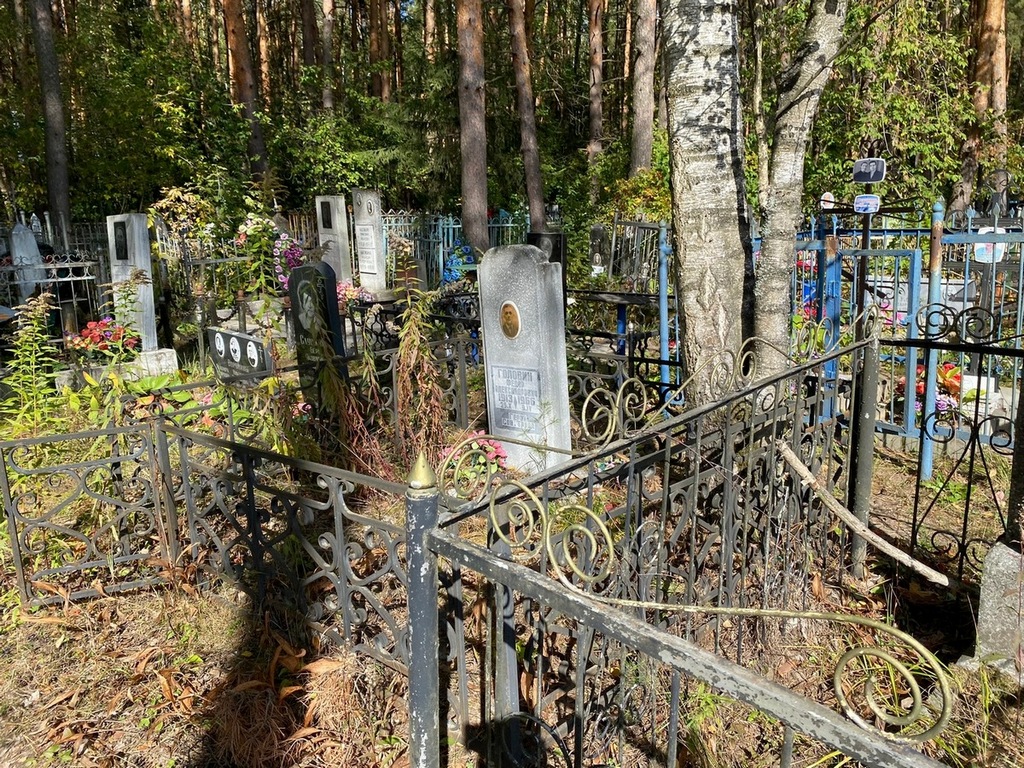 Головин Федор Александрович
