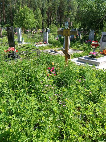 Поташев Николай Яковлевич