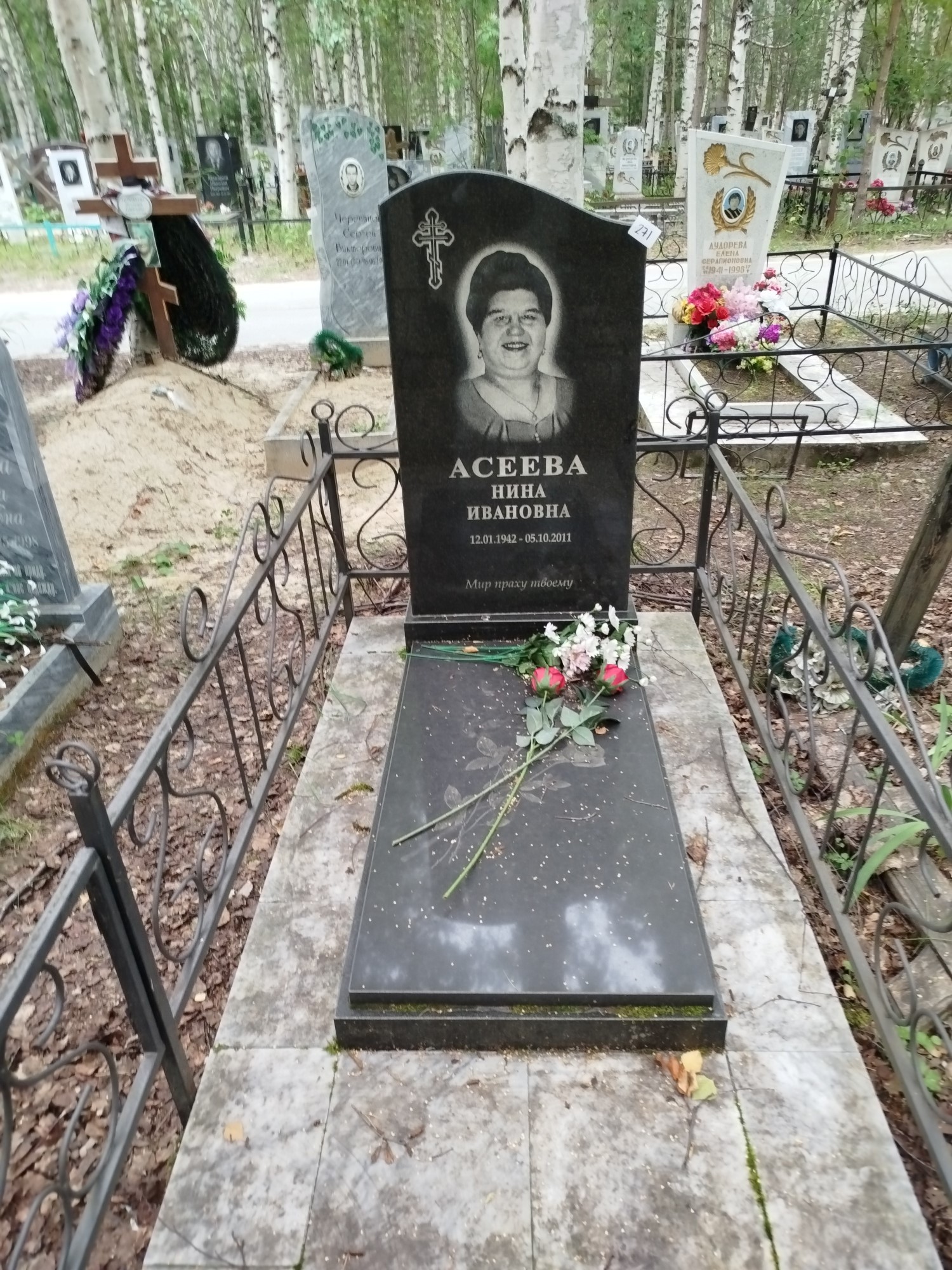 Асеева Нина Ивановна