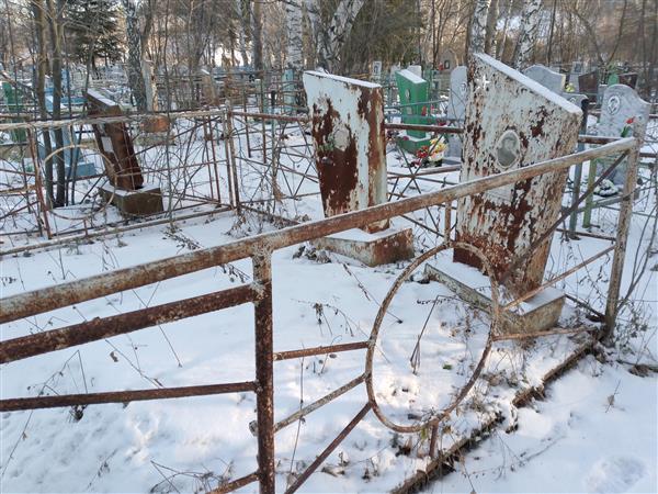 Петкунов Николай Сергеевич