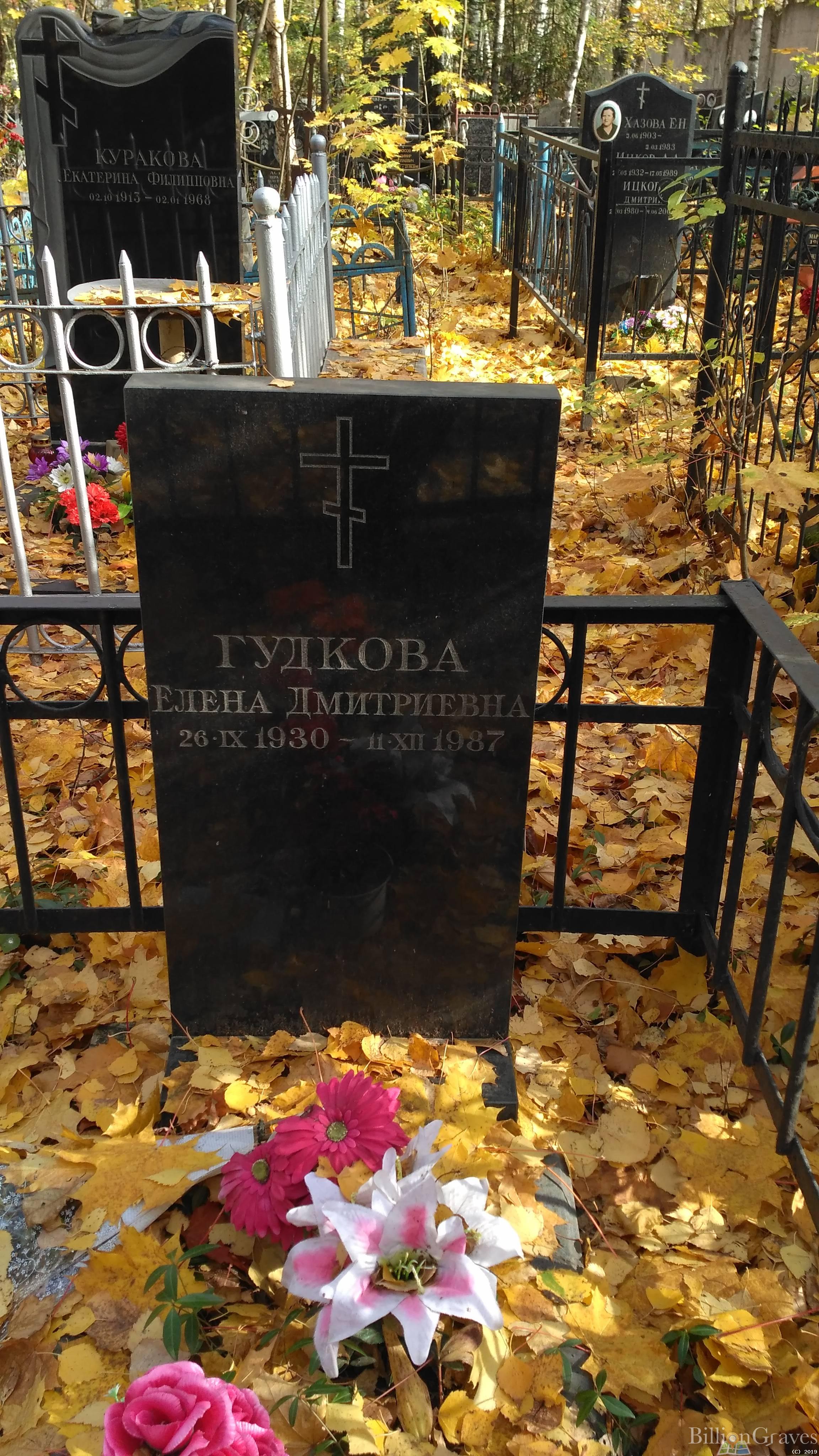 Гудкова Елена Дмитриевна