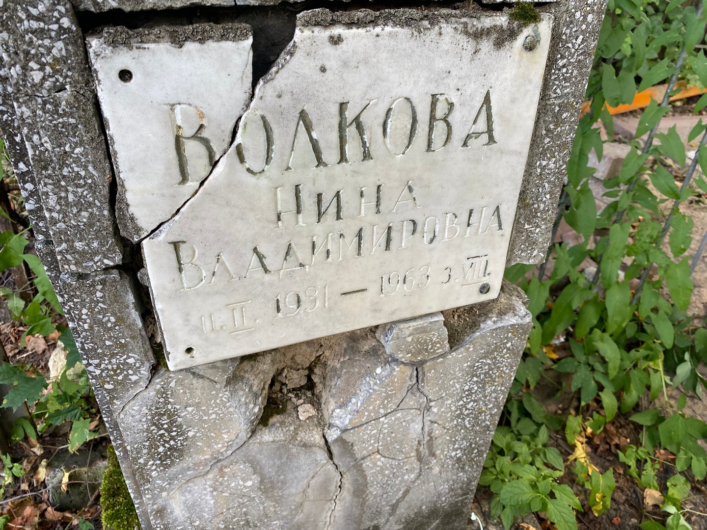 Волкова