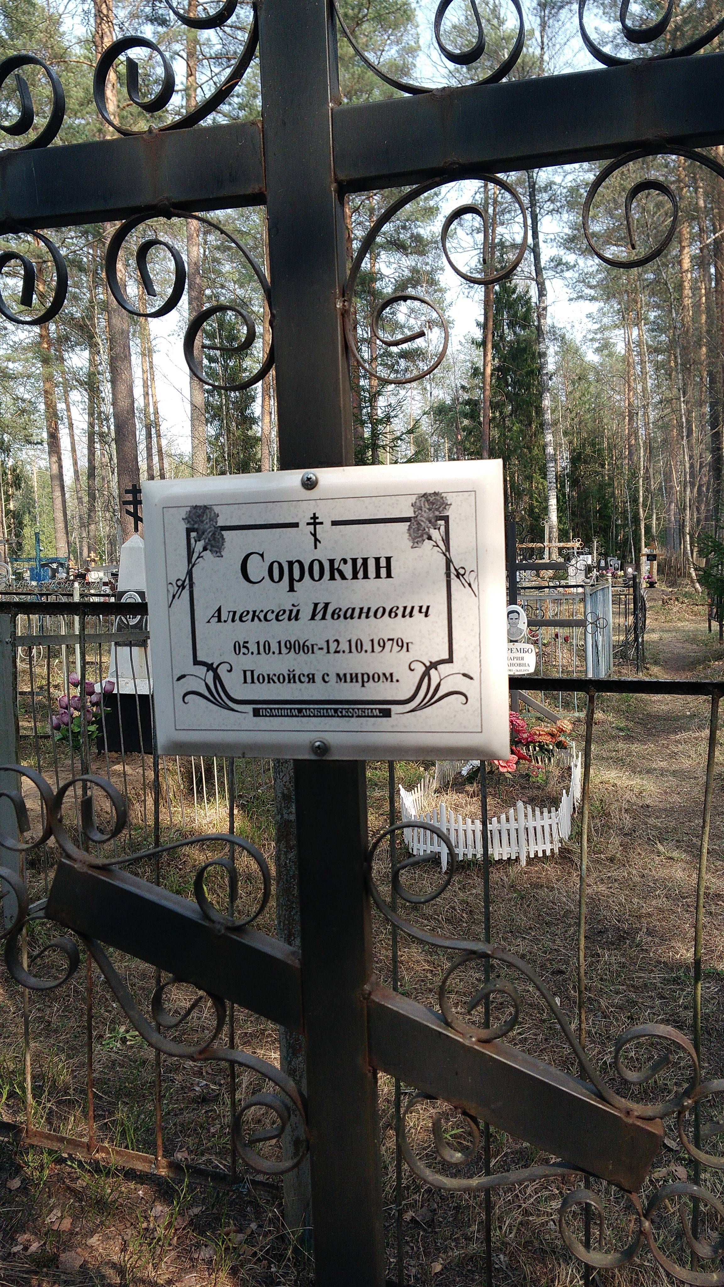 Сорокина Екатерина Алексеевна