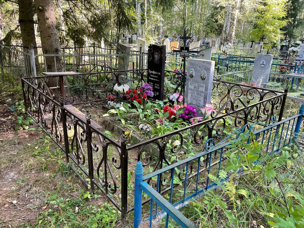 Трифонов Алексей Георгиевич