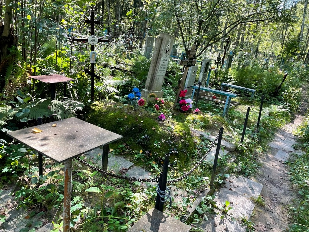 Довгая Анна Корнеевна