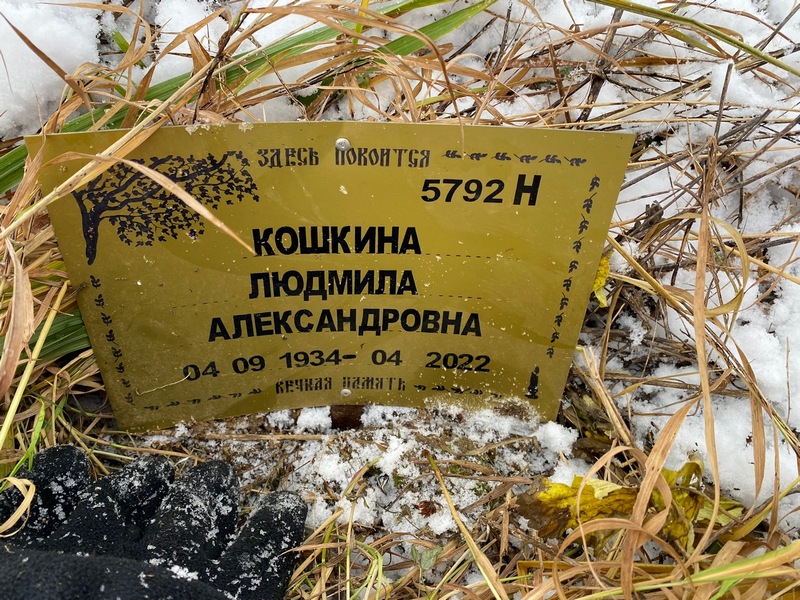 Кошкина