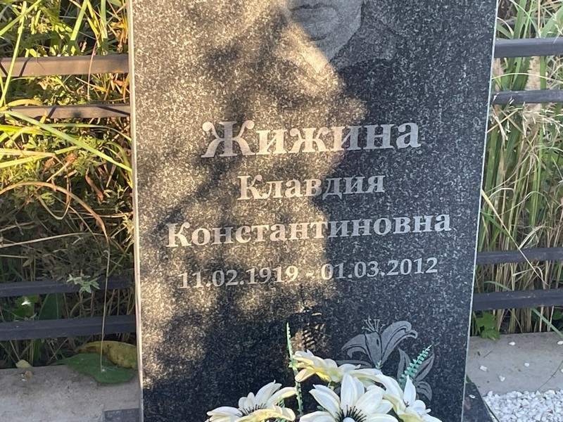 Жижина